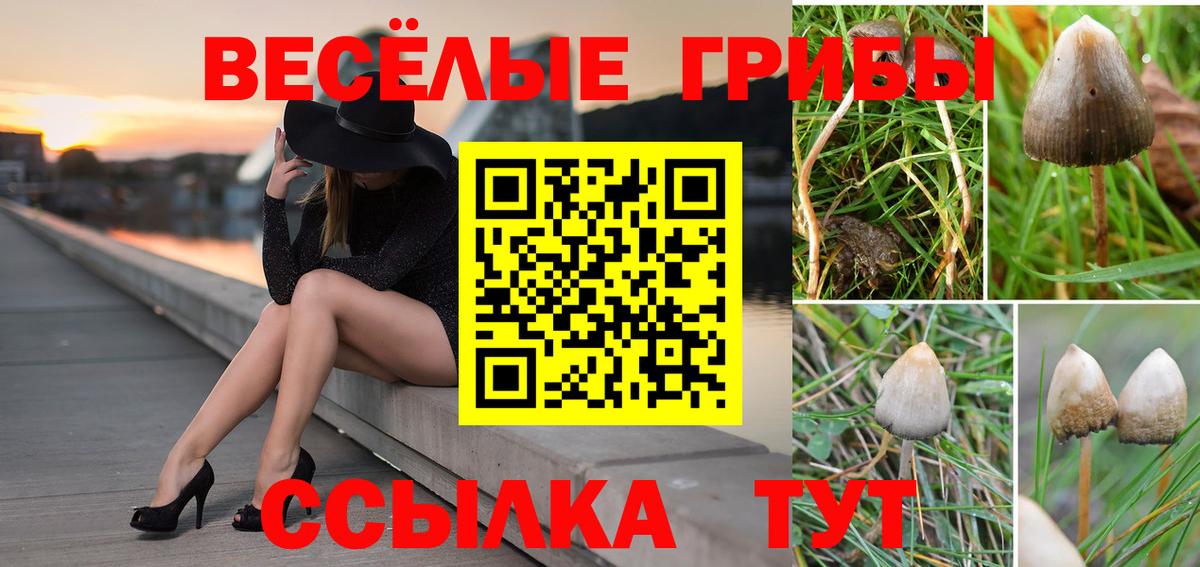 Галлюциногенные грибы MAGIC MUSHROOMS Ачхой-Мартан